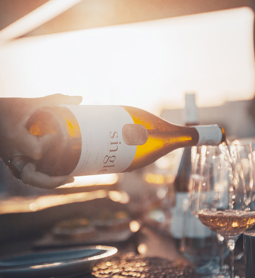 Inside para…kopois winery: A slow craft of wine, land, and legacy etched into every bottle.